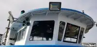 કેટામરાન વેચાણ માટે
