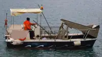 વર્કબોટ વેચાણ માટે