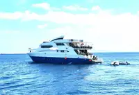 ડાઇવ સપોર્ટ વેચાણ માટે