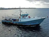 લોંગલાઇનર વેચાણ માટે