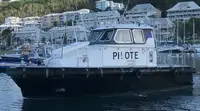 પાયલોટ બોટ વેચાણ માટે