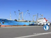 રીફર જહાજ વેચાણ માટે