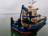 ટોવબોટ વેચાણ માટે