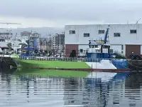વર્ક બોટ વેચાણ માટે
