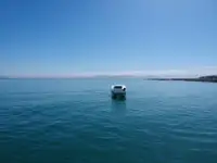 કેટામરાન વેચાણ માટે