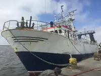 ટ્રોલર વેચાણ માટે
