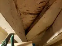 ફેરી જહાજ વેચાણ માટે