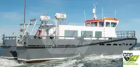 Wind farm service vessel વેચાણ માટે