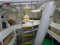 બલ્ક કેરિયર વેચાણ માટે