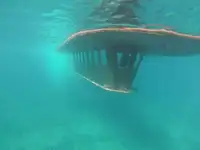 ક્રૂઝ જહાજ વેચાણ માટે