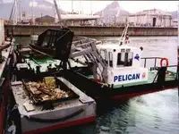 બાર્જ વેચાણ માટે