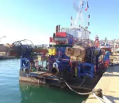 ડ્રેજર વેચાણ માટે