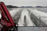 વર્ક બોટ વેચાણ માટે