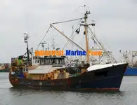 ટ્રોલર વેચાણ માટે