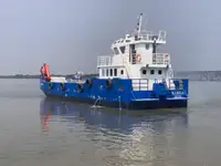 બલ્ક કેરિયર વેચાણ માટે