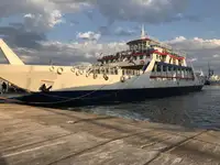 Ro-Ro ship વેચાણ માટે