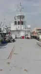 પેટ્રોલ બોટ વેચાણ માટે