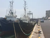 ટ્રોલર વેચાણ માટે