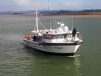 લોંગલાઇનર વેચાણ માટે