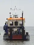 ટોબોટ વેચાણ માટે