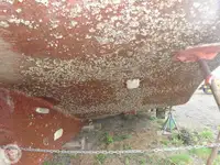 ટોબોટ વેચાણ માટે