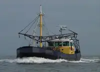 ટ્રોલર વેચાણ માટે