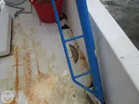 ટ્રોલર વેચાણ માટે