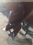 પાયલોટ બોટ વેચાણ માટે