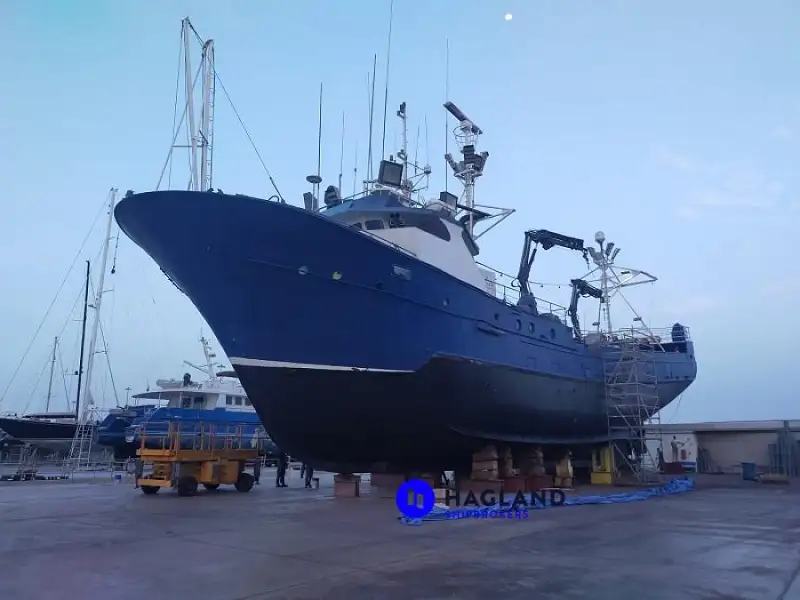 ટ્યૂના લોંગલાઇનર વેચાણ માટે