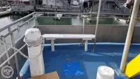 કેટામરાન વેચાણ માટે