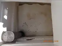 પર્સ સીનર વેચાણ માટે