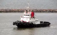 ટોવબોટ વેચાણ માટે