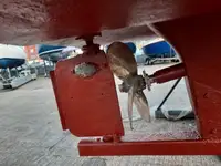 કટર વેચાણ માટે