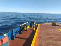 ટોબોટ વેચાણ માટે