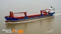 બલ્ક કેરિયર વેચાણ માટે