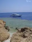 ડાઇવ સપોર્ટ વેચાણ માટે