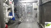 ક્રૂઝ જહાજ વેચાણ માટે