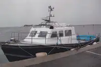 વર્ક બોટ વેચાણ માટે