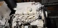 કેટામરાન વેચાણ માટે