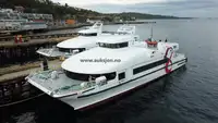 કેટામરન વેચાણ માટે