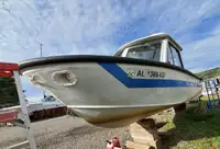 વર્કબોટ વેચાણ માટે