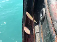 ટોબોટ વેચાણ માટે