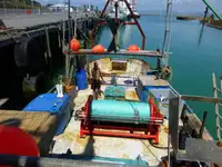 Trawler વેચાણ માટે