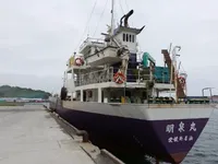 General Cargo/Multi-purpose વેચાણ માટે