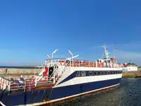 પેસેન્જર જહાજ વેચાણ માટે