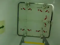 બલ્ક કેરિયર વેચાણ માટે