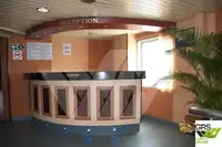 Ro-Ro ship વેચાણ માટે