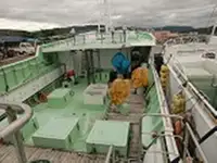 લોંગલાઇનર વેચાણ માટે