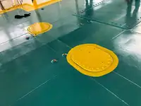 રો-રો જહાજ વેચાણ માટે
