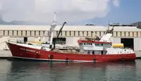 બલ્ક કેરિયર વેચાણ માટે